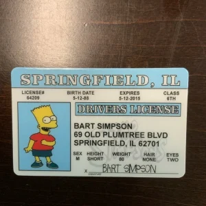 Front of Homer and Bart Simpson Novelty Card Set — 2 Cards