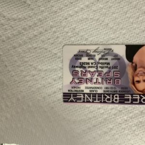 Free Britney Spears Novelty ID Card