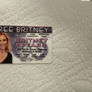 Free Britney Spears Novelty ID Card